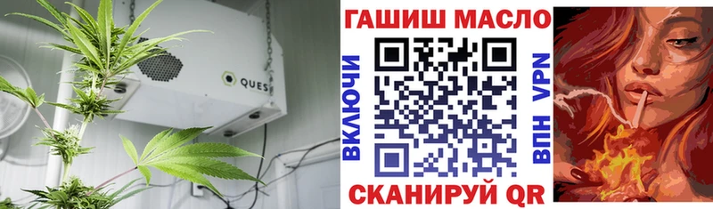 сколько стоит  OMG маркетплейс  Дистиллят ТГК вейп  Шали 