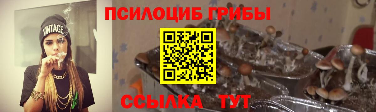 Шали  где найти   Вход с VPN  Псилоцибиновые грибы мухоморы 