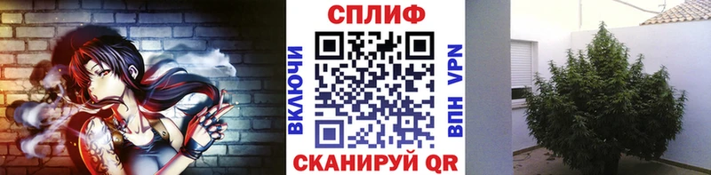 KRAKEN зеркало  Шали  Марихуана план 